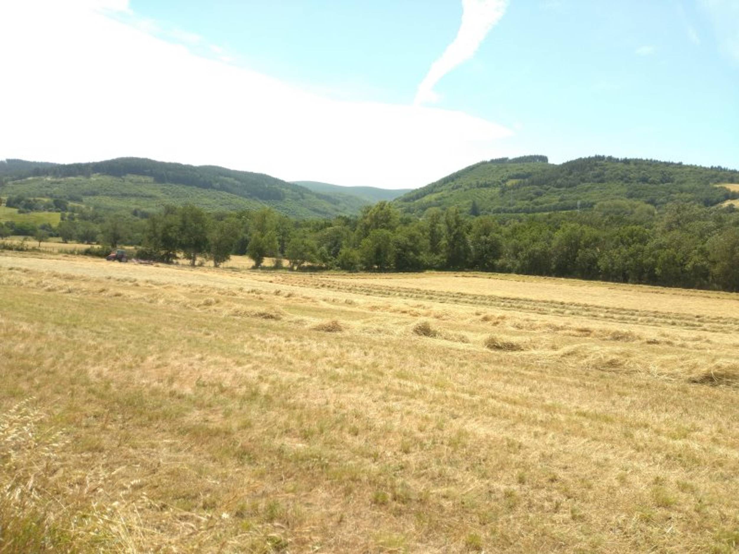 paysage-saint-hilaire-0mipgsu6hxcs