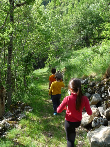 sur le chemin du retour