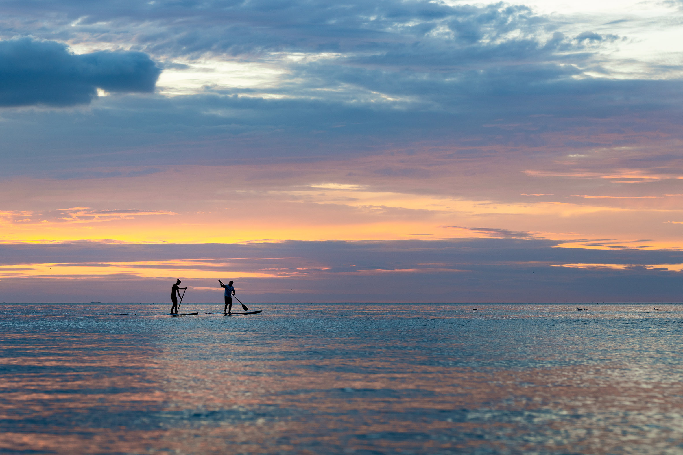 Traversée du Fier d'Ars en stand-up paddle