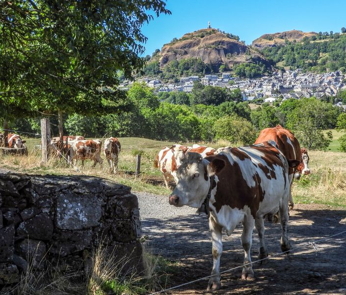 Ferme La Grange de la Haute Vallée