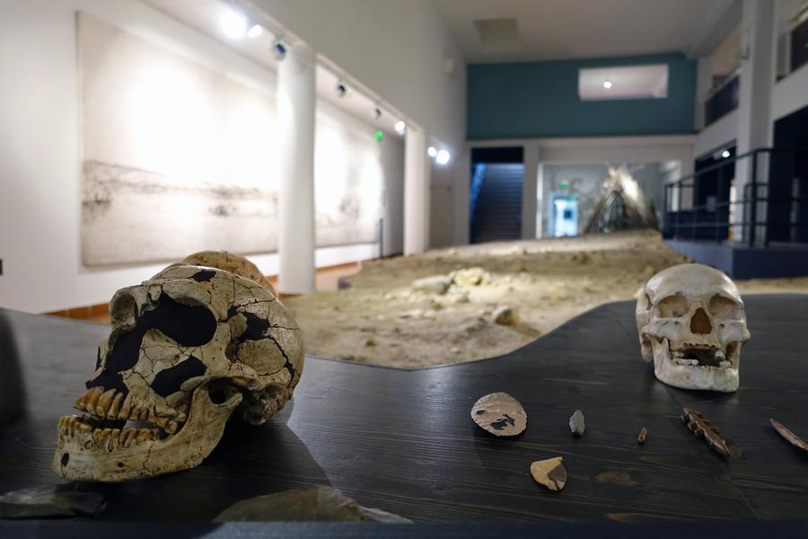 Musée de Préhistoire de Terra Amata