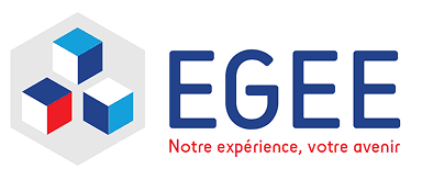 Entente Des Generations Pour L'emploi De L'entreprise (Egee)
