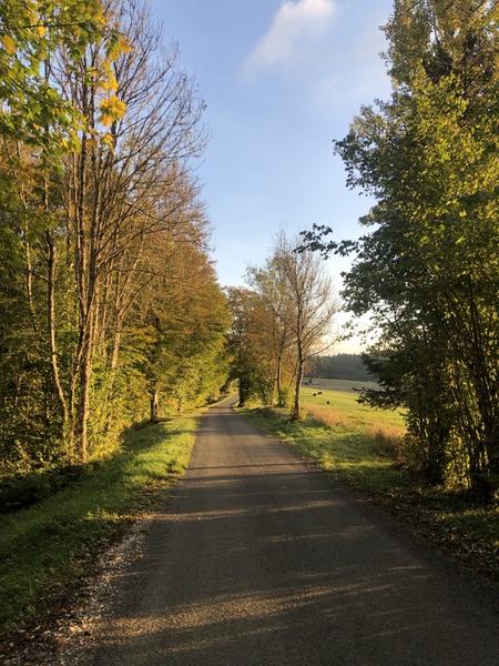 Combe du Mortier entre Lachat et le col de Belleroche