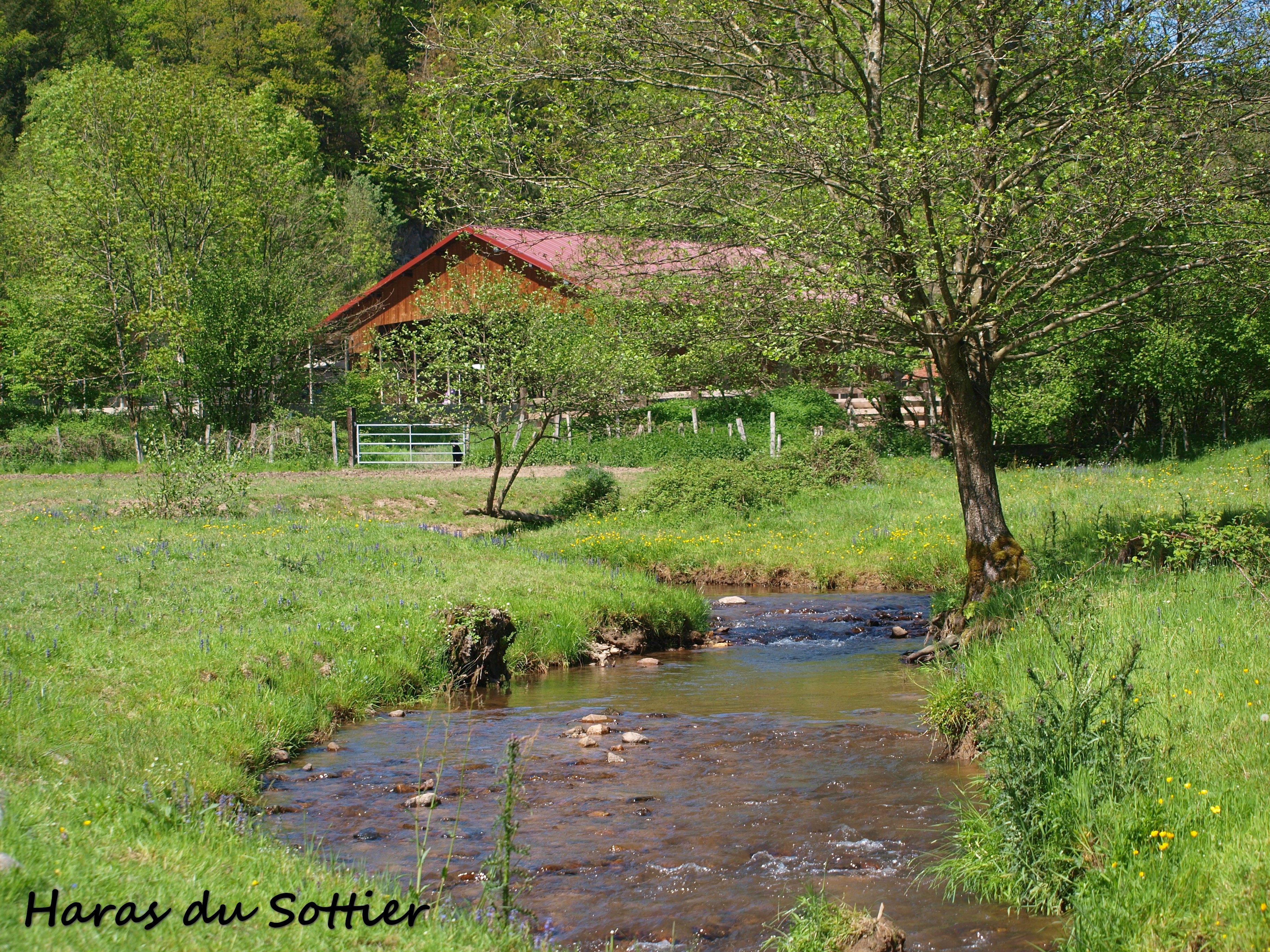 Haras du SOTTIER