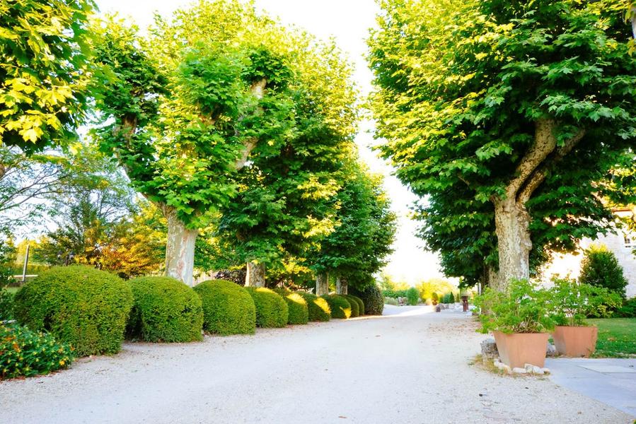 Domaine du Manoir - Gîte 5 étoiles avec piscine - Les Avenières-Veyrins-Thuellin - Balcons du Dauphiné