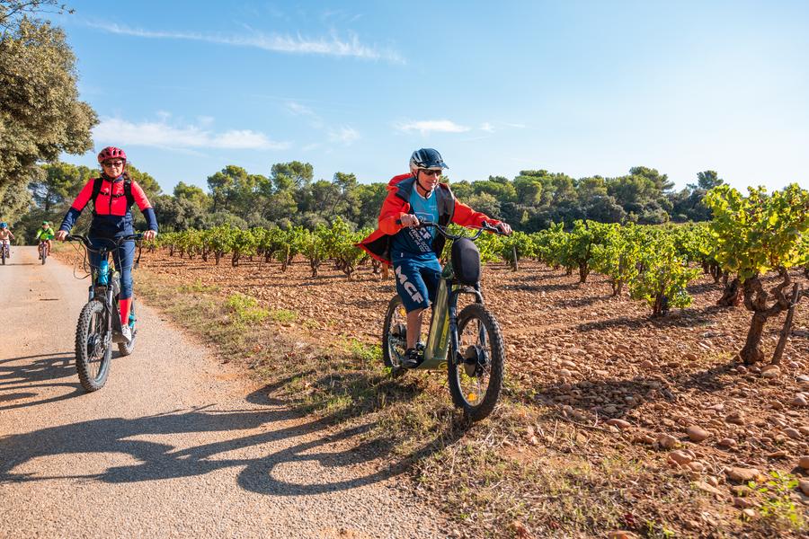 Balade dans le vignoble de Châteauneuf-du-Pape_Courthézon