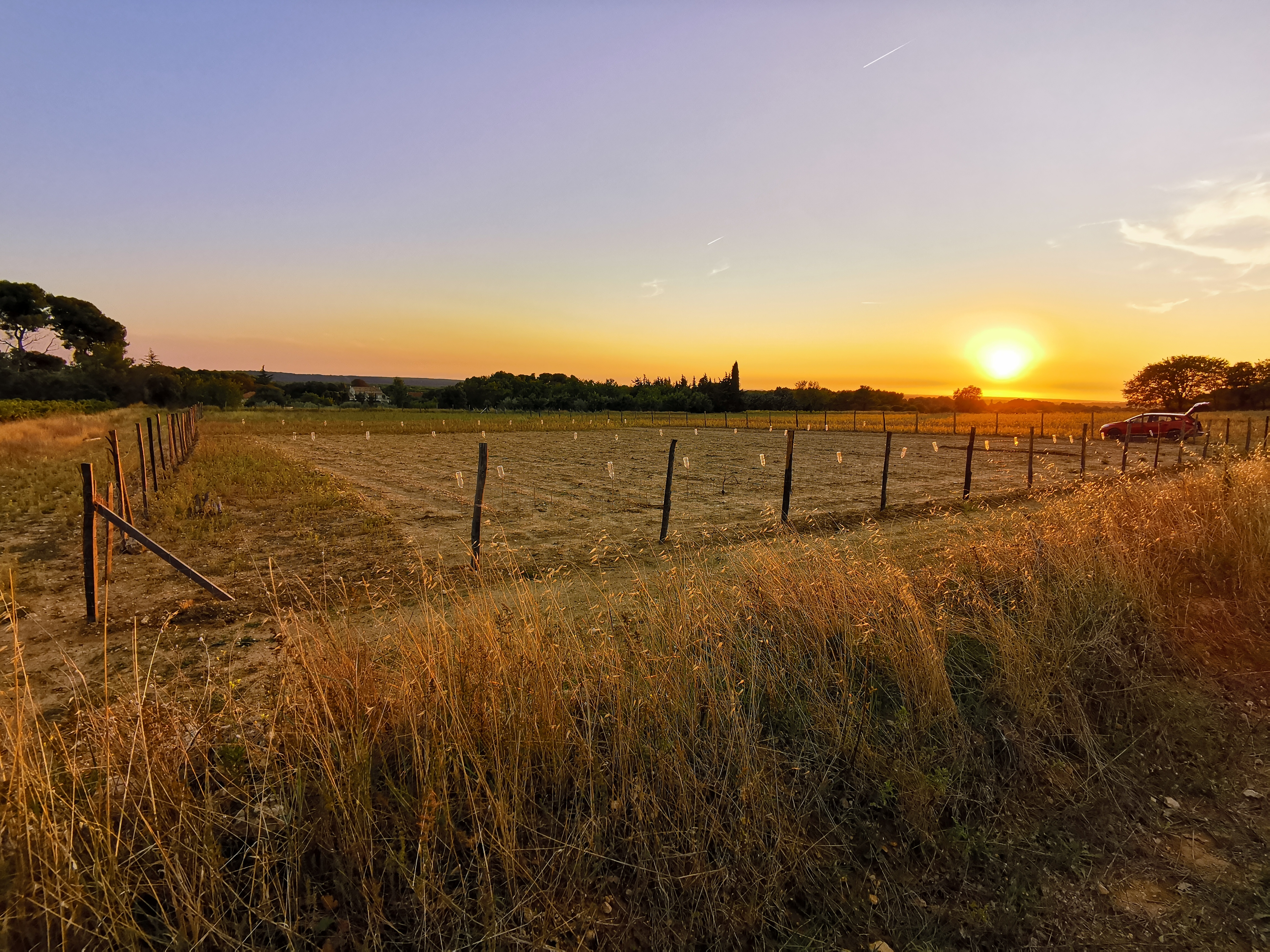Safranière de Provence - photo 4