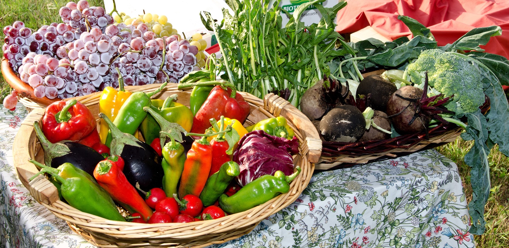 1er marché d'été de Fix Saint Geneys