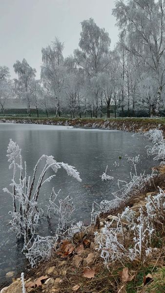 Etang gelé