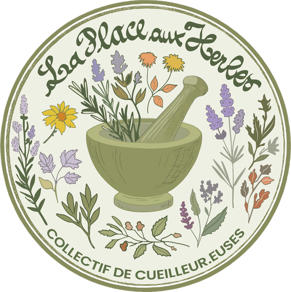 La Place aux Herbes