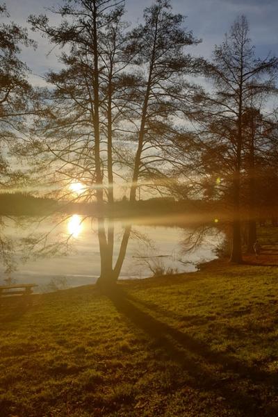 Coucher de soleil sur le  Lac des Sapins