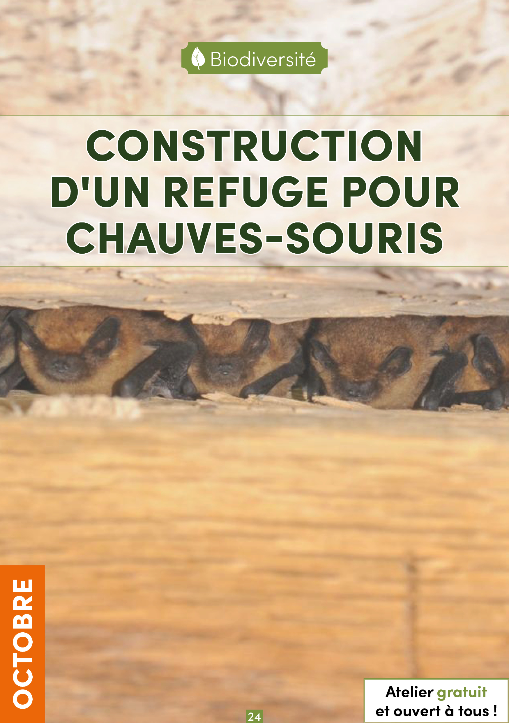 Accueil