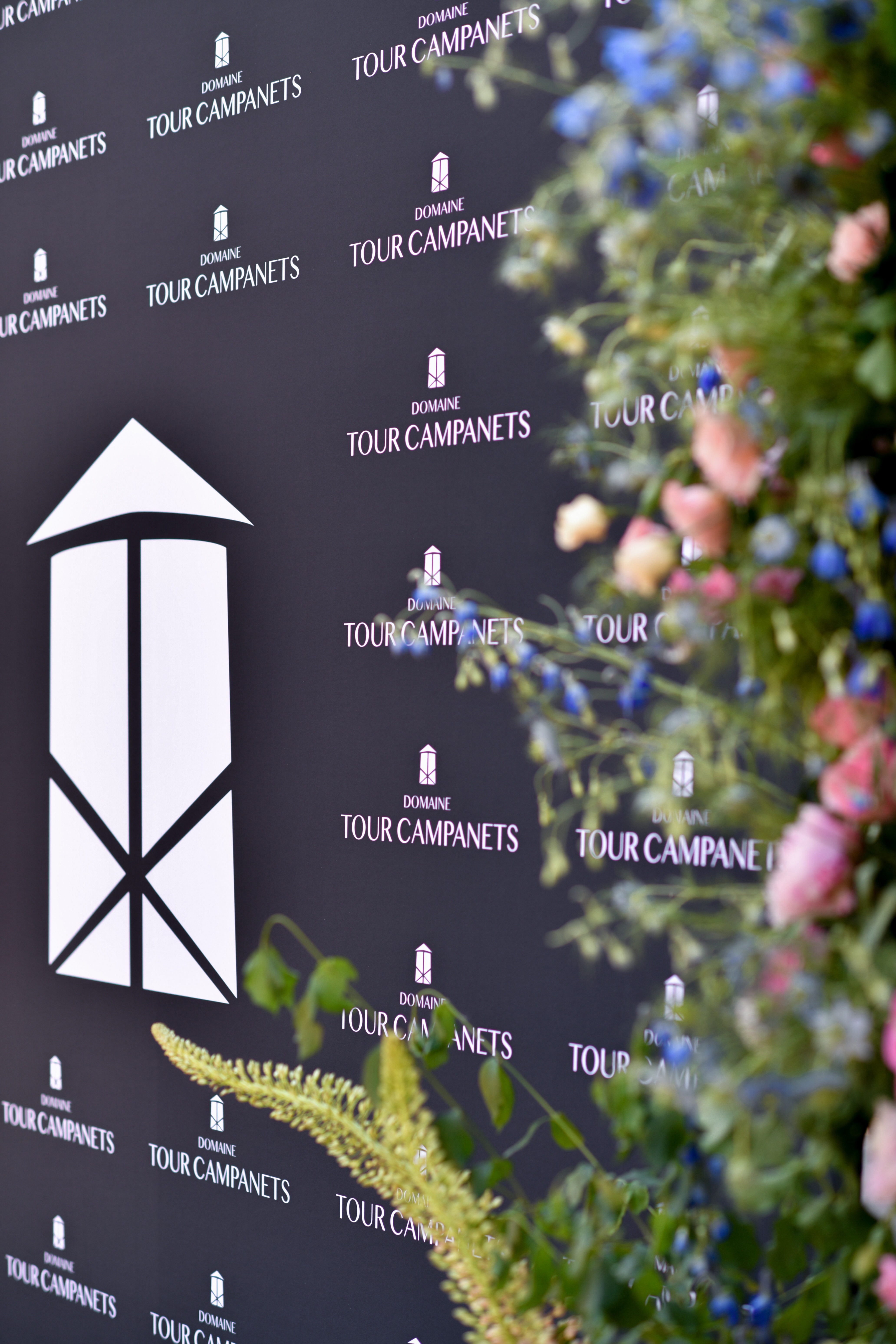 Domaine Tour Campanets - photo 2