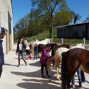 Pony Run-Run - Centre équestre