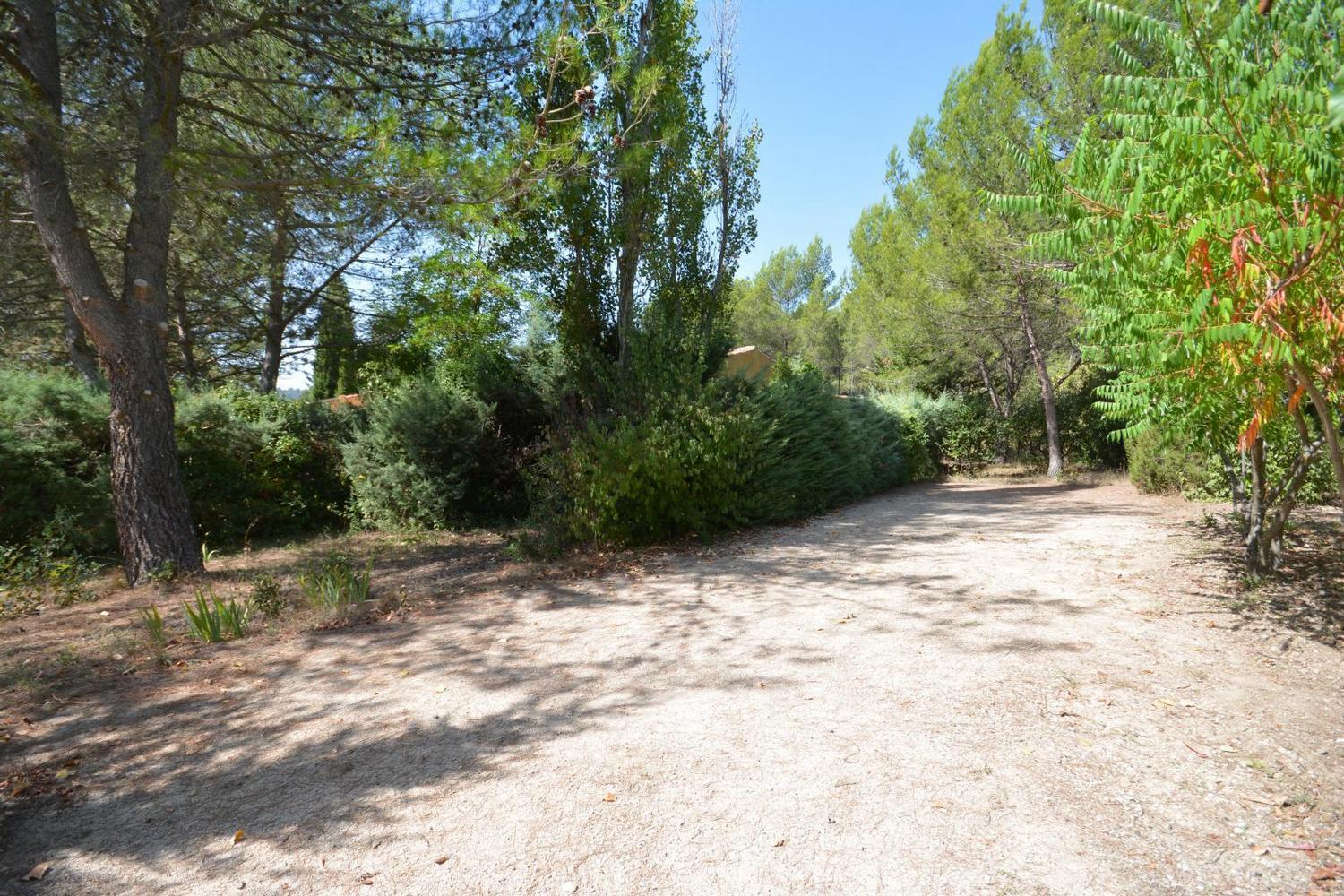 Hémérocalles, Vauvenargues - photo 11