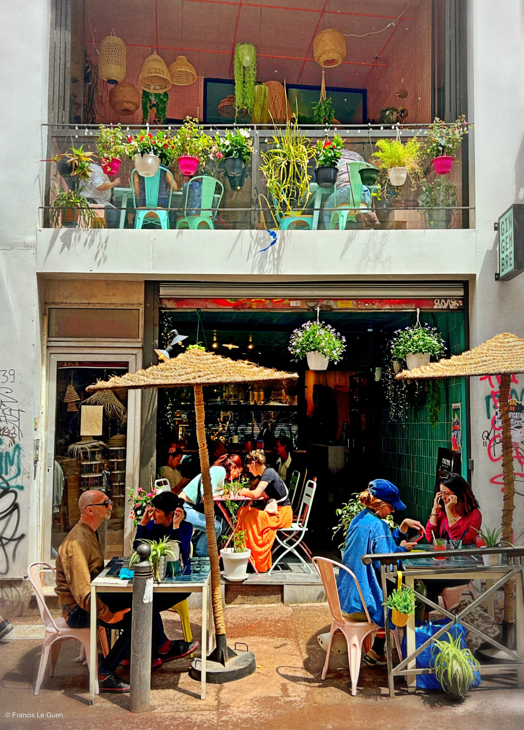 Gingembre Noailles