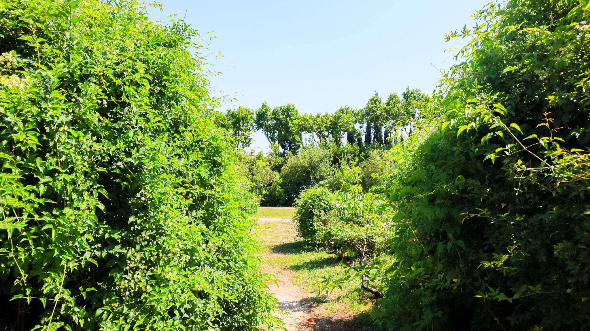Jardin des Quatre Saisons — photo 2