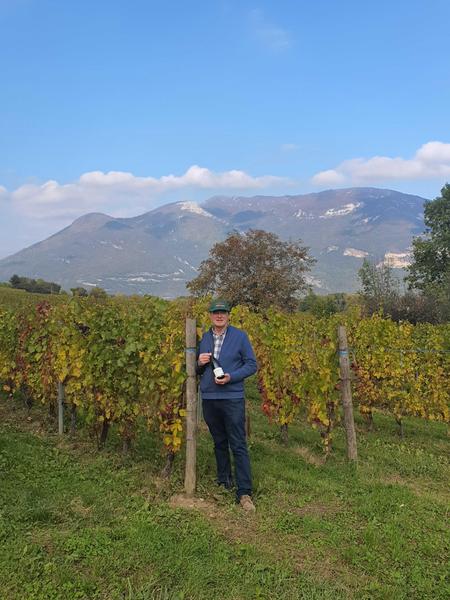 Les Vignes au Domaine