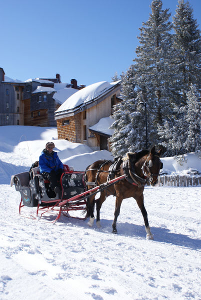 Balade en traineaux