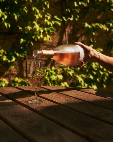 Dégustation au Domaine de la Portanière_Collobrières