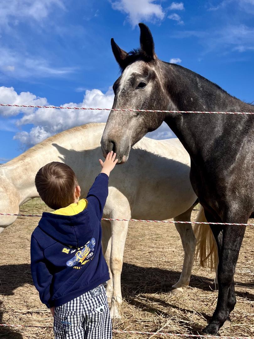 Gîte Port Pin, Cuges-les-Pins - photo 17