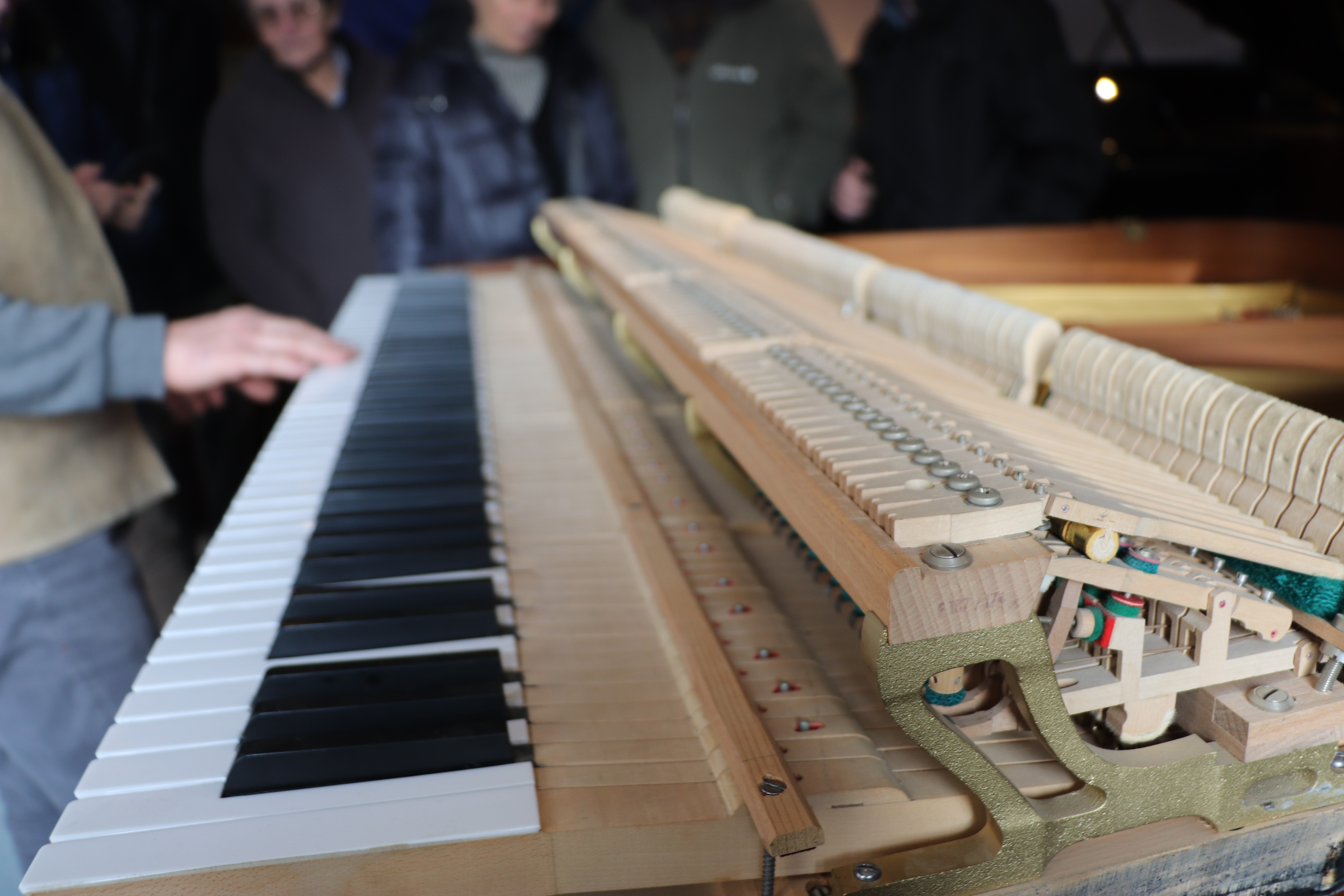 Dans les coulisses de l'atelier "Ecochard musique"_Saint-Denis-lès-Bourg