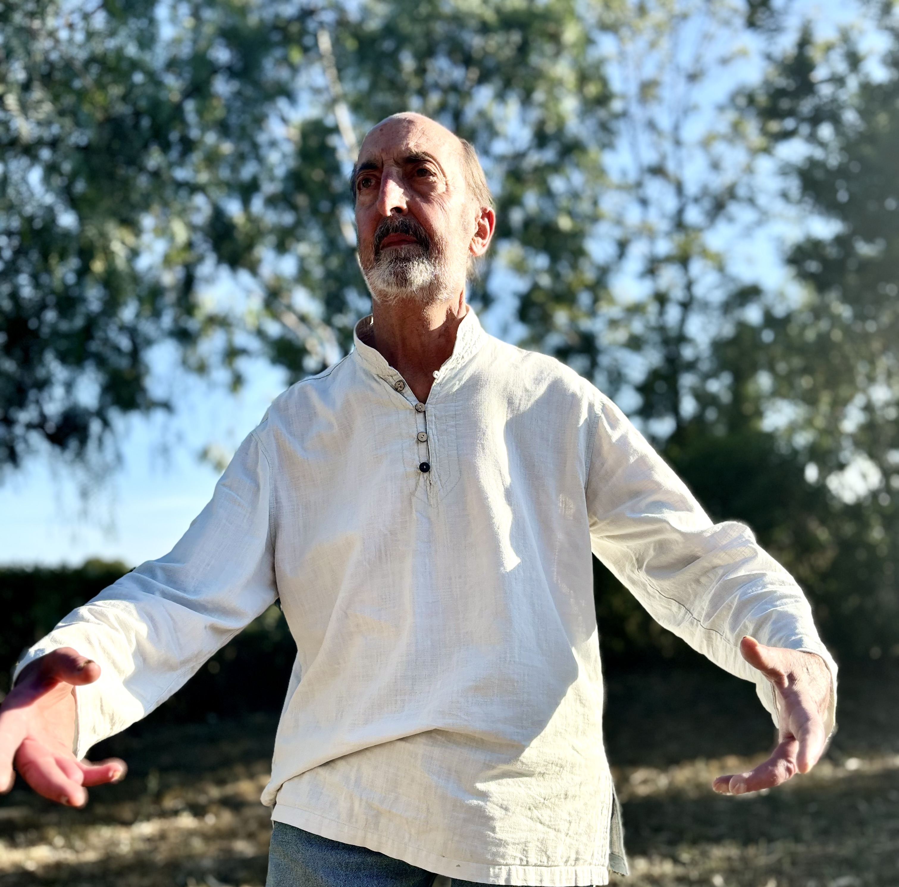 Cours de Qi Gong avec Christian Nicolas à La Londe les Maures