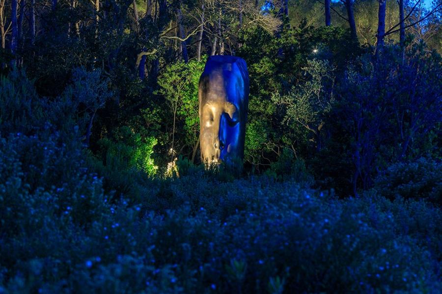Soundwalk collective villa carmignac île de Porquerolles Parc National
