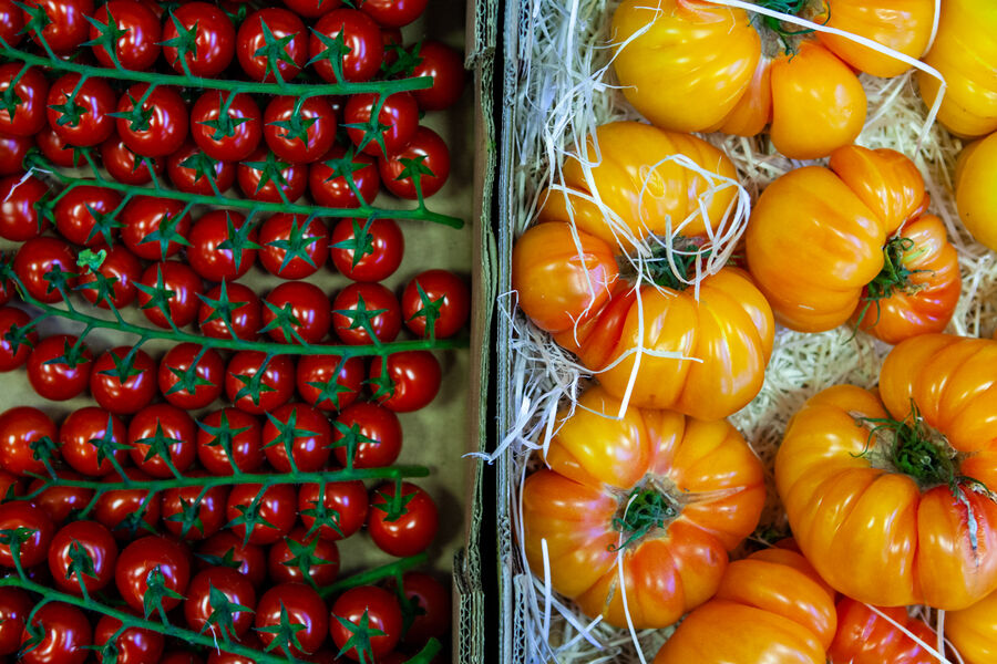 Fabrice Beauvois @sourisdom