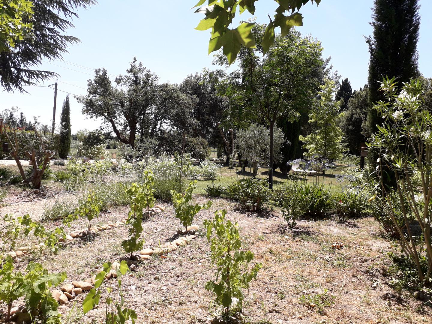 Mas des Princes, Noves - photo 13