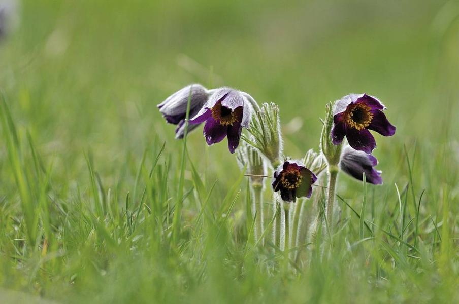 Exposition : 'Hautes en couleurs'