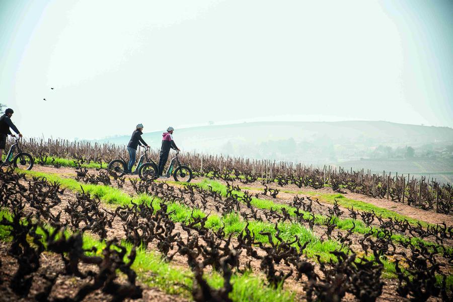 balade en trottinette dans les vignes