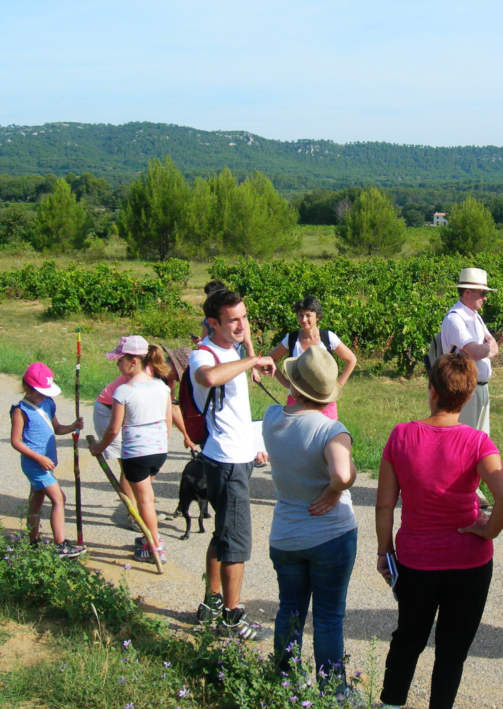 Le sentier des Vignerons de Rognes - photo 2