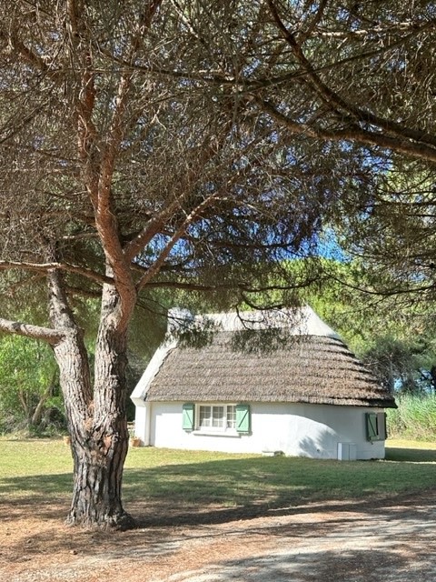 La Petite Cabane du Mas Broussolle