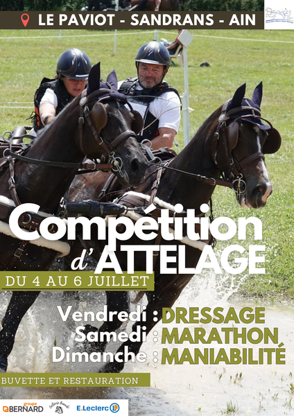 http://Concours%20d'Attelage
