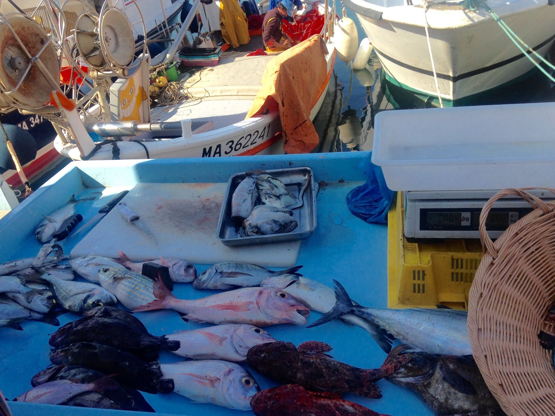Étal des pêcheurs, Cassis - photo 3