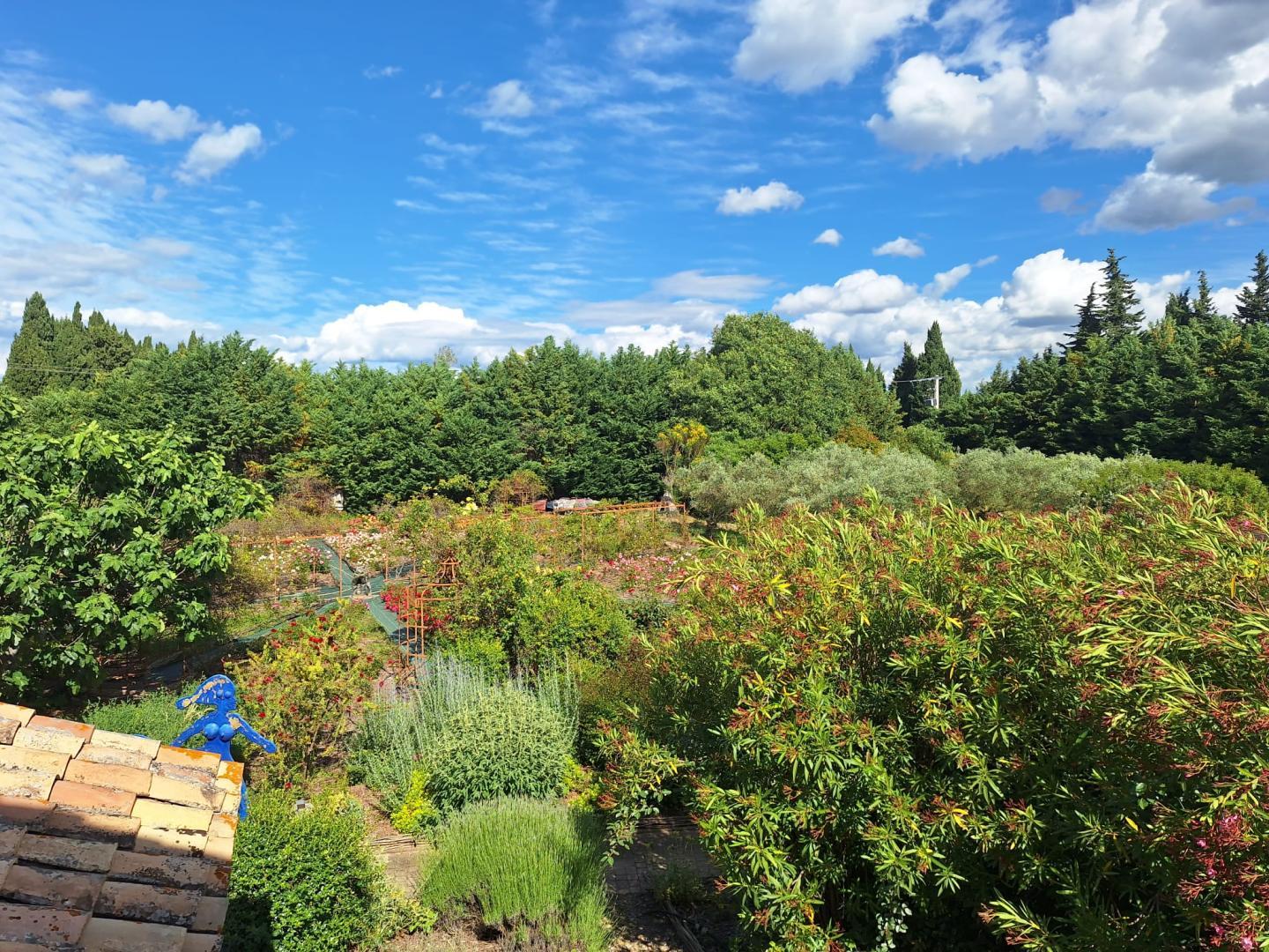 Mas des Figues, Saint-Rémy-de-Provence - photo 54