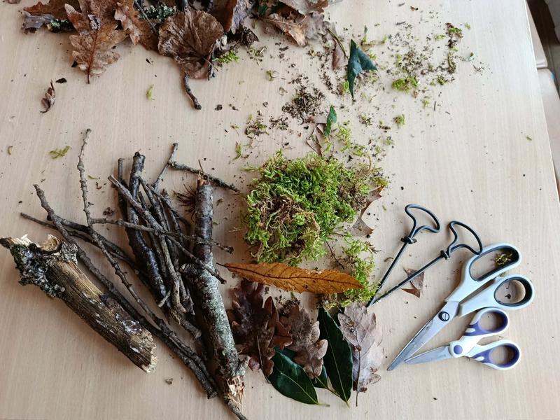 forêt enchantée