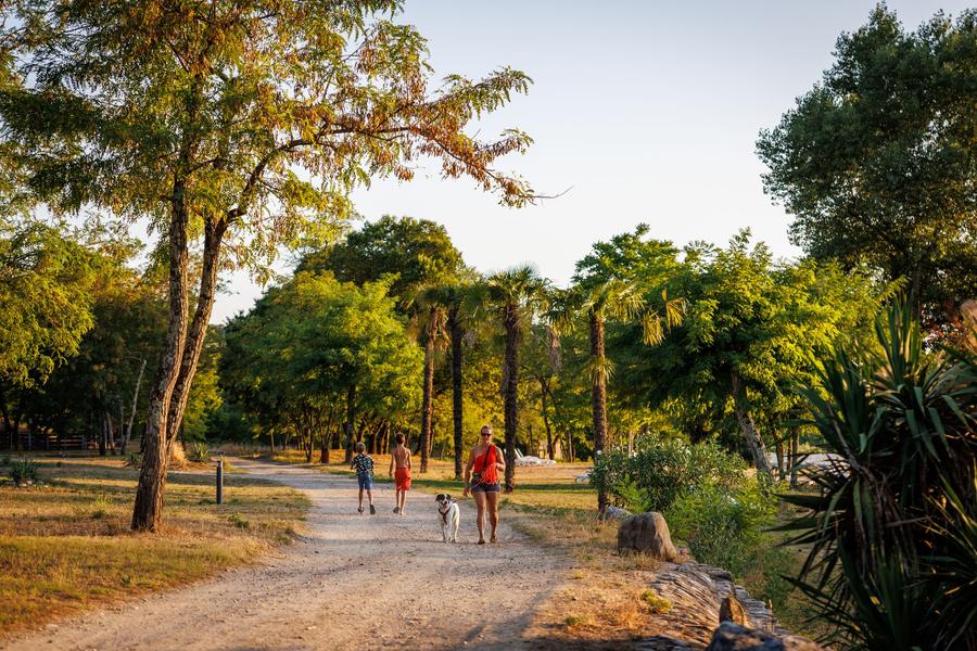 Campsite Chapoulière