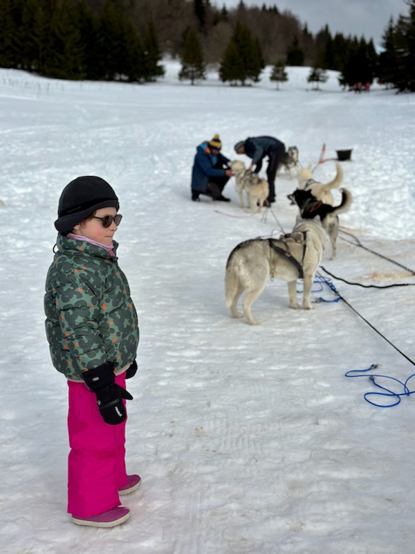 Bapt�me en tra�neau � chiens avec Symbiose chien polaire