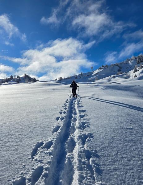 Sneeuwschoenwandeling “Petite ferme de l'Aubrac” met ESI_La Toussuire