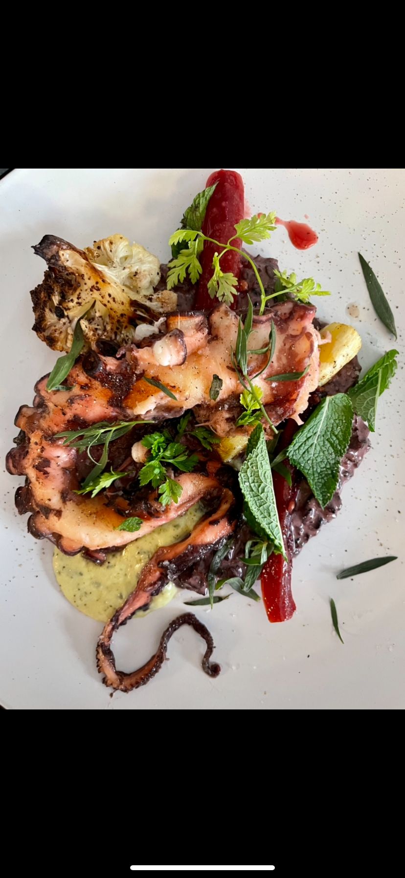 Bistrot Saint-Jacques - photo 4