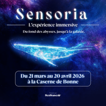 Sensoria, l’expérience immersive_Grenoble