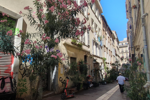 Balade buissonnière, la biodiversité en ville - photo 2
