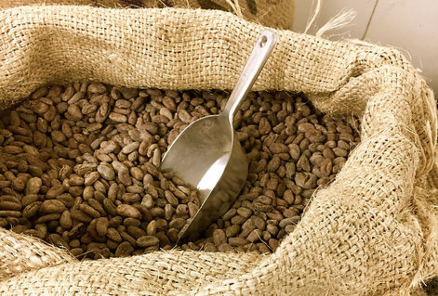 Workshop “van boon tot reep” met Arnaud Quintaine_La Toussuire