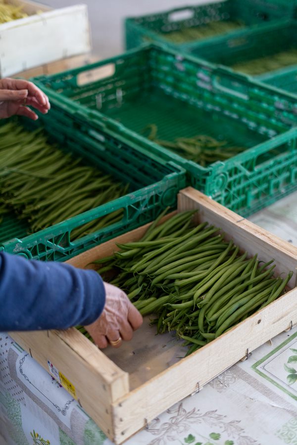 La Récolte des Confines - photo 2