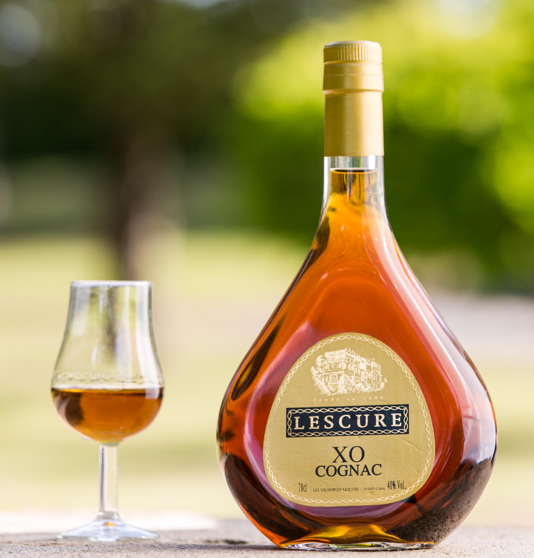 Les Vignobles Lescure