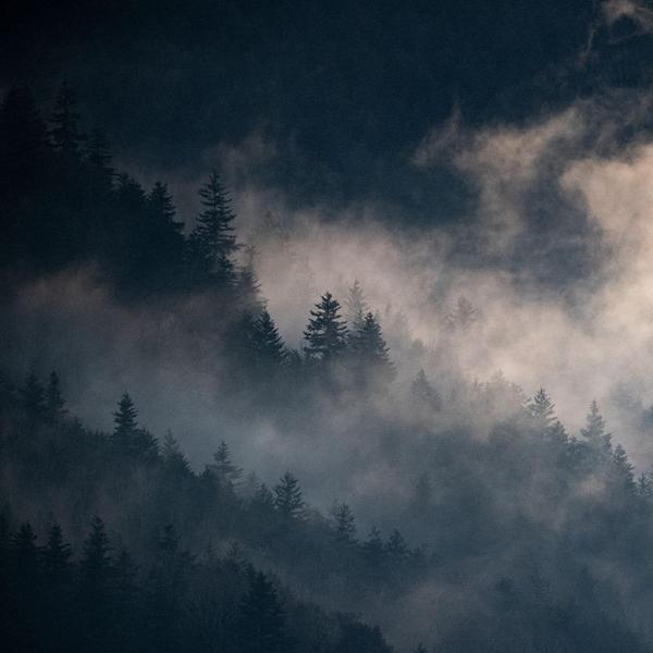 - © Parc national des Ecrins - © Parc national des Ecrins