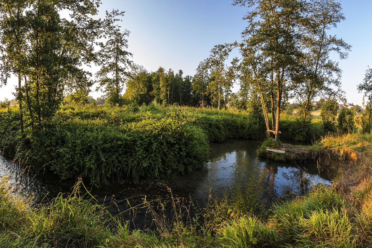 Balade rafraîchissante au fil de l'eau