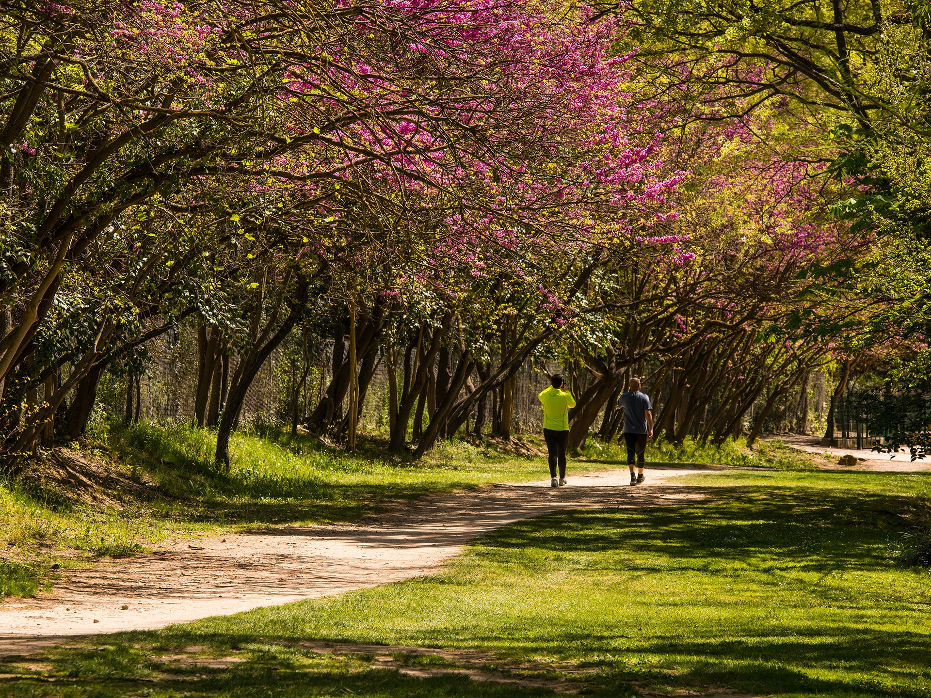Promenade de la Torse - photo 2